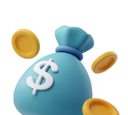 bolsa de dinero