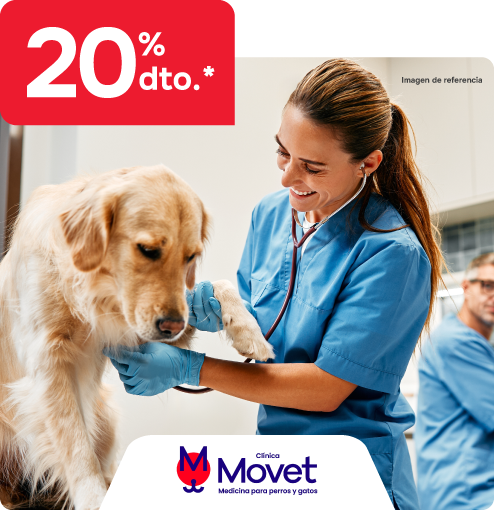 alianza movet servicios