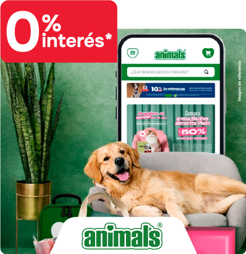 animals